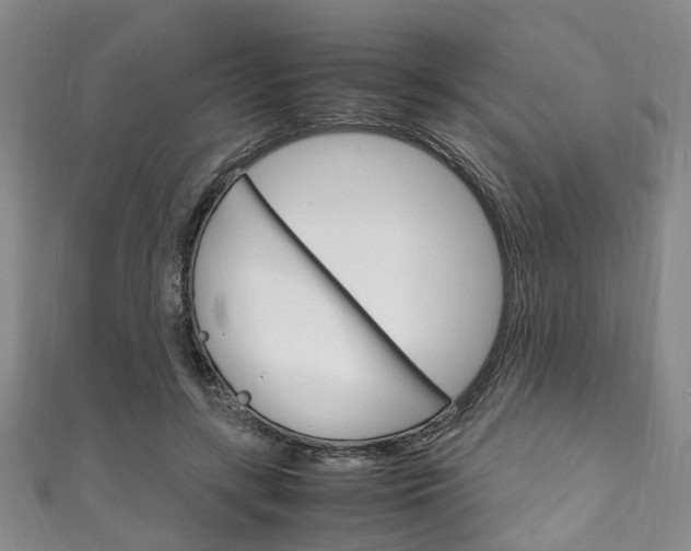 X0000111250547200907021022