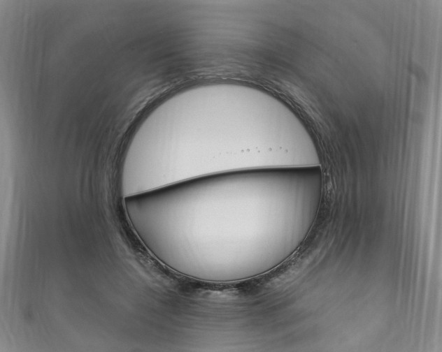 X0000111250548200907021022