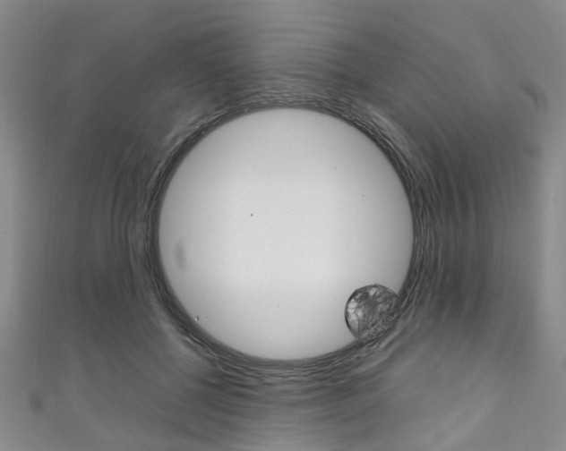 X0000111250552200907021022