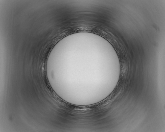 X0000111250553200907021022