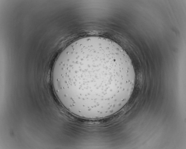 X0000111250554200907021022
