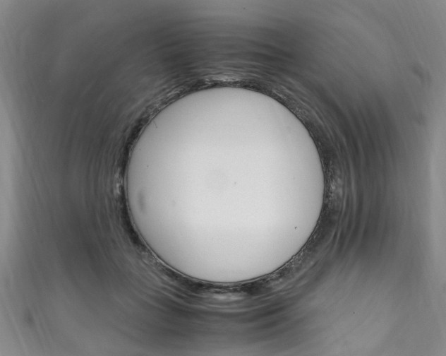 X0000111250555200907021022