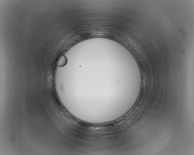 X0000111250557200907021022