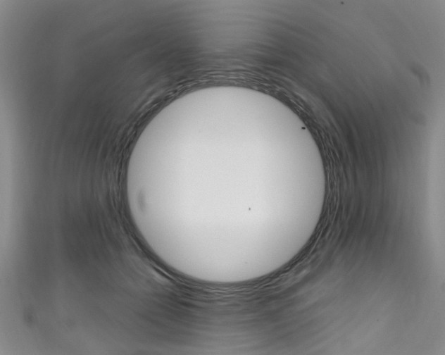 X0000111250558200907021022