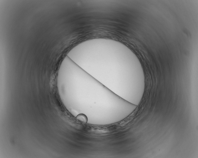 X0000111250559200907021022
