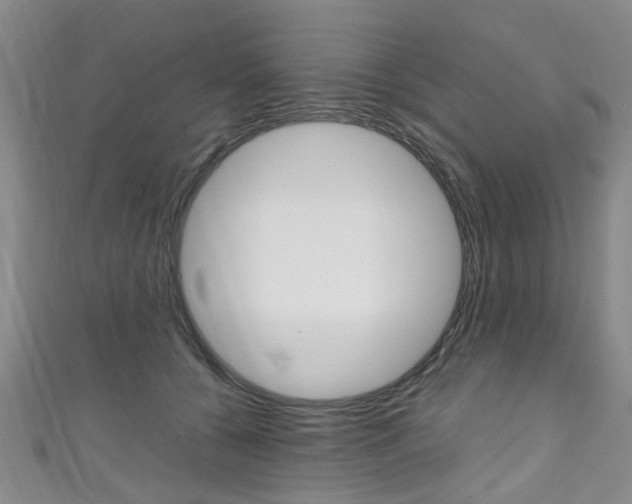 X0000111250560200907021022