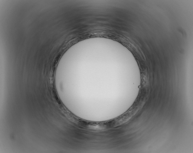 X0000111250561200907021022