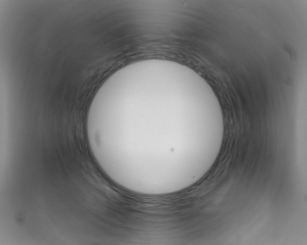 X0000111250562200907021022