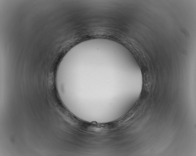 X0000111250563200907021022