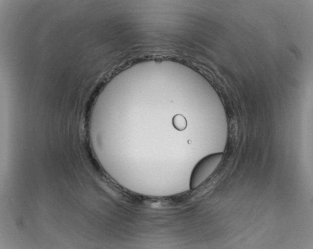 X0000111250564200907021022