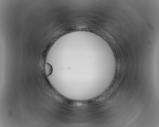 X0000111250565200907021022
