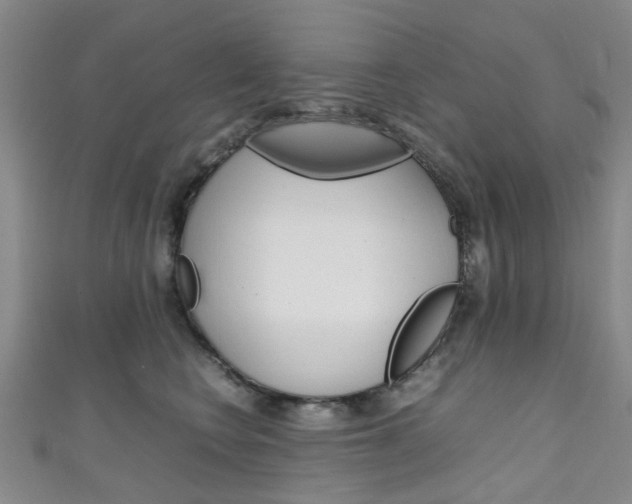 X0000111250566200907021022