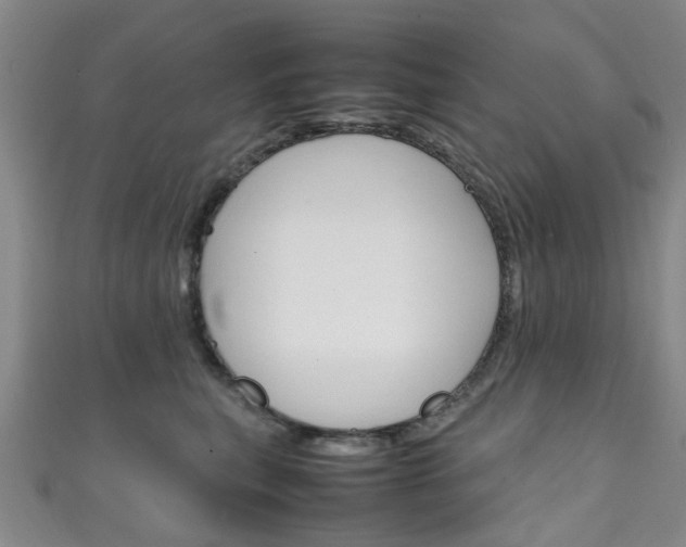 X0000111250567200907021022