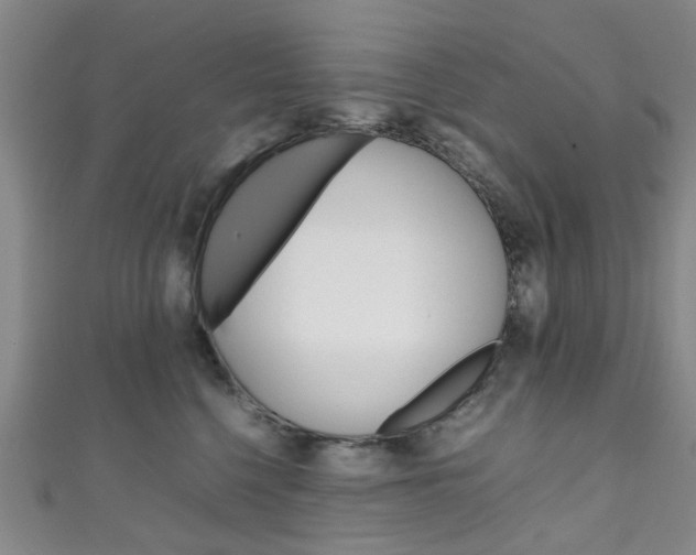 X0000111250568200907021022