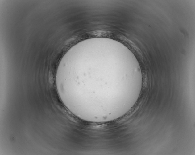X0000111250569200907021022