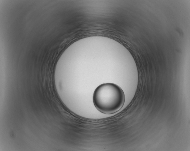 X0000111250570200907021022