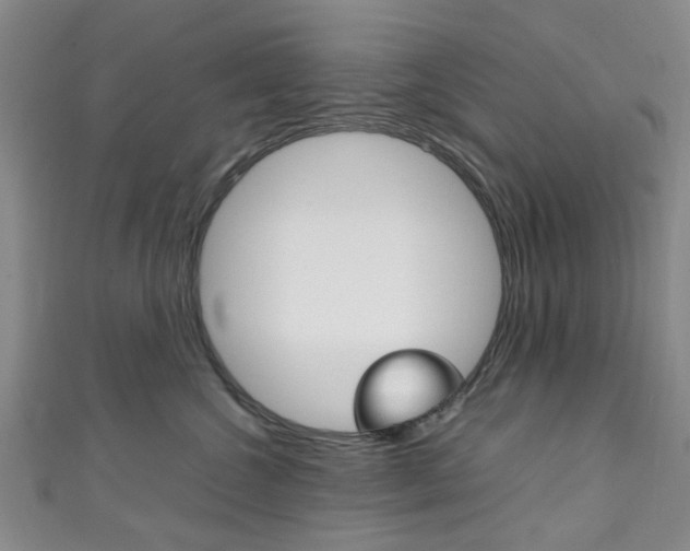 X0000111250572200907021022