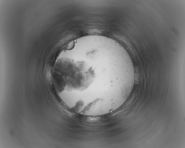 X0000111250573200907021022