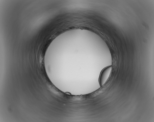 X0000111250574200907021022
