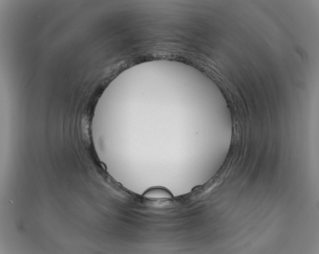 X0000111250575200907021022