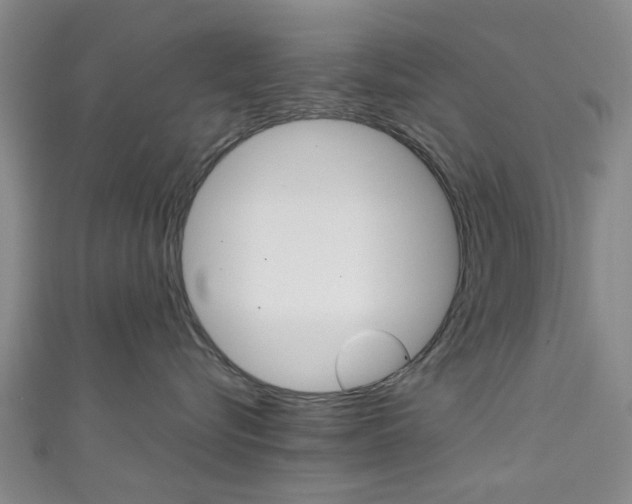 X0000111250576200907021022