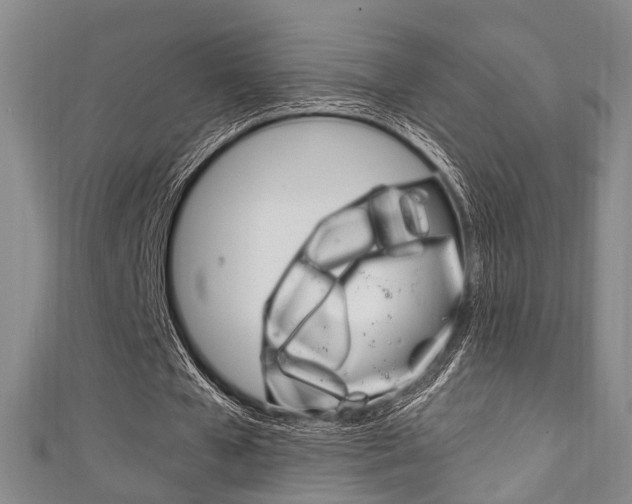 X0000111250577200907021022
