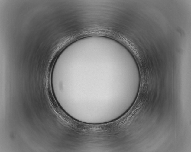 X0000111250578200907021021