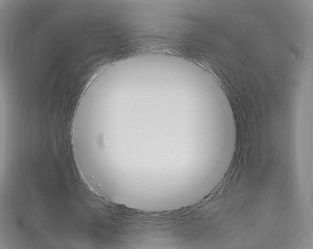 X0000111250579200907021021
