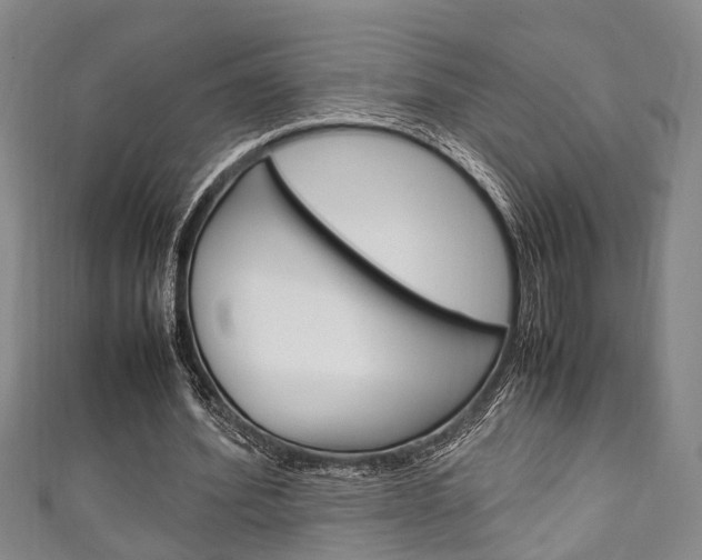 X0000111250580200907021021