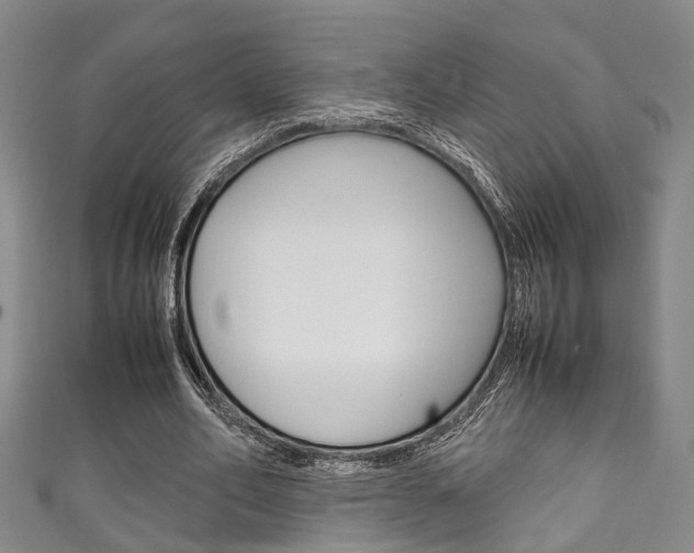 X0000111250582200907021021