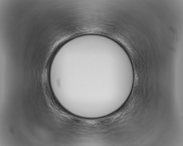 X0000111250583200907021021