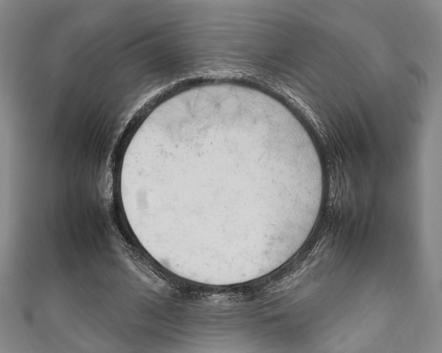 X0000111250584200907021021