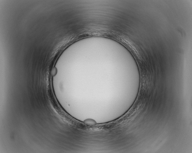 X0000111250586200907021021