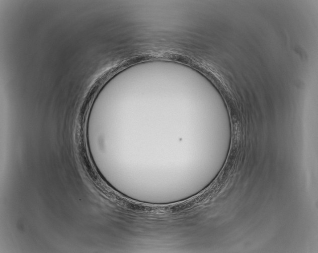 X0000111250587200907021021