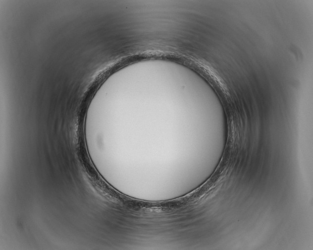X0000111250588200907021021