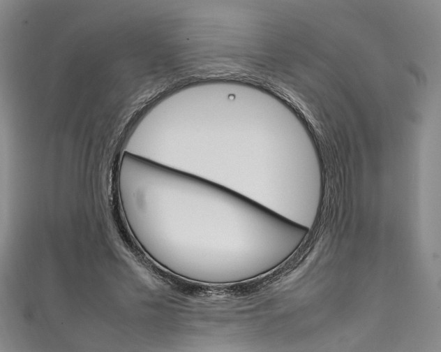 X0000111250589200907021021