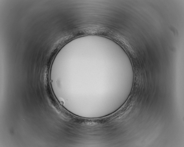 X0000111250590200907021021