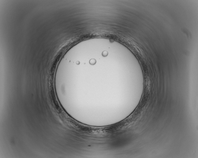 X0000111250591200907021021