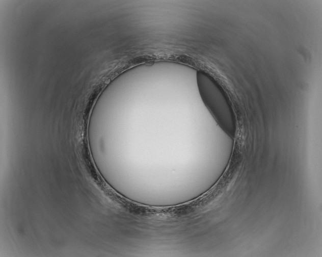 X0000111250593200907021021