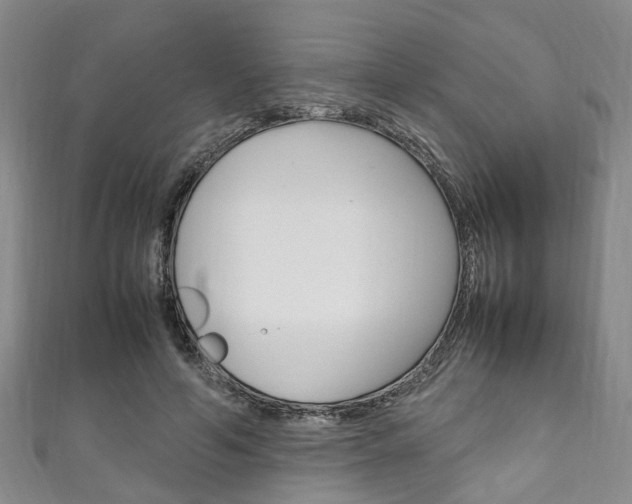 X0000111250594200907021021