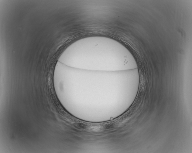 X0000111250595200907021021