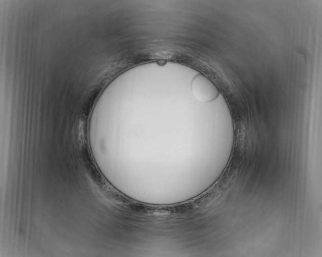 X0000111250598200907021021