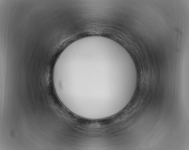 X0000111250600200907021021