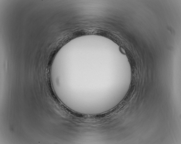 X0000111250601200907021021