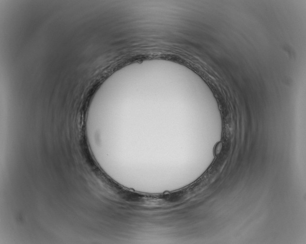 X0000111250605200907021021
