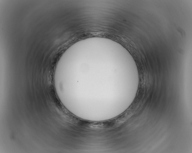 X0000111250606200907021021