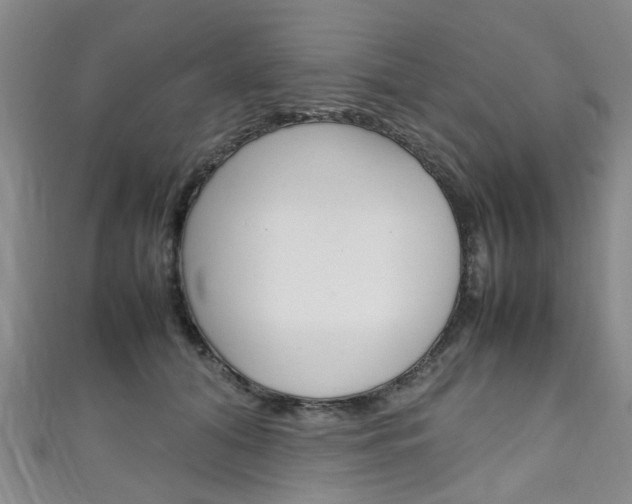 X0000111250608200907021021