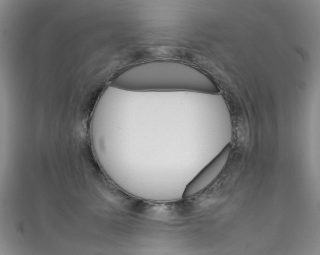 X0000111250611200907021021