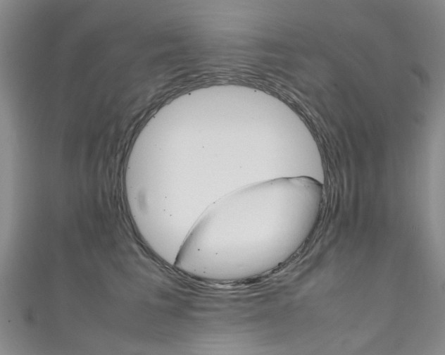 X0000111250613200907021021