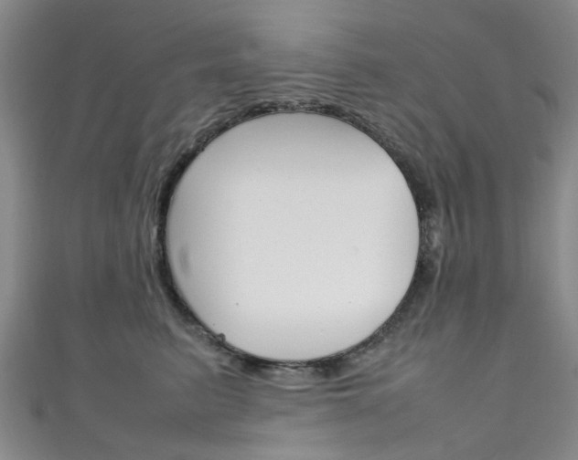 X0000111250615200907021021